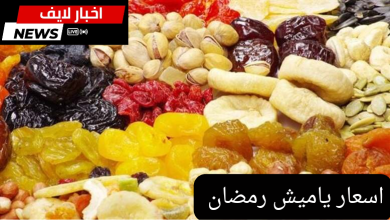 اسعار ياميش رمضان